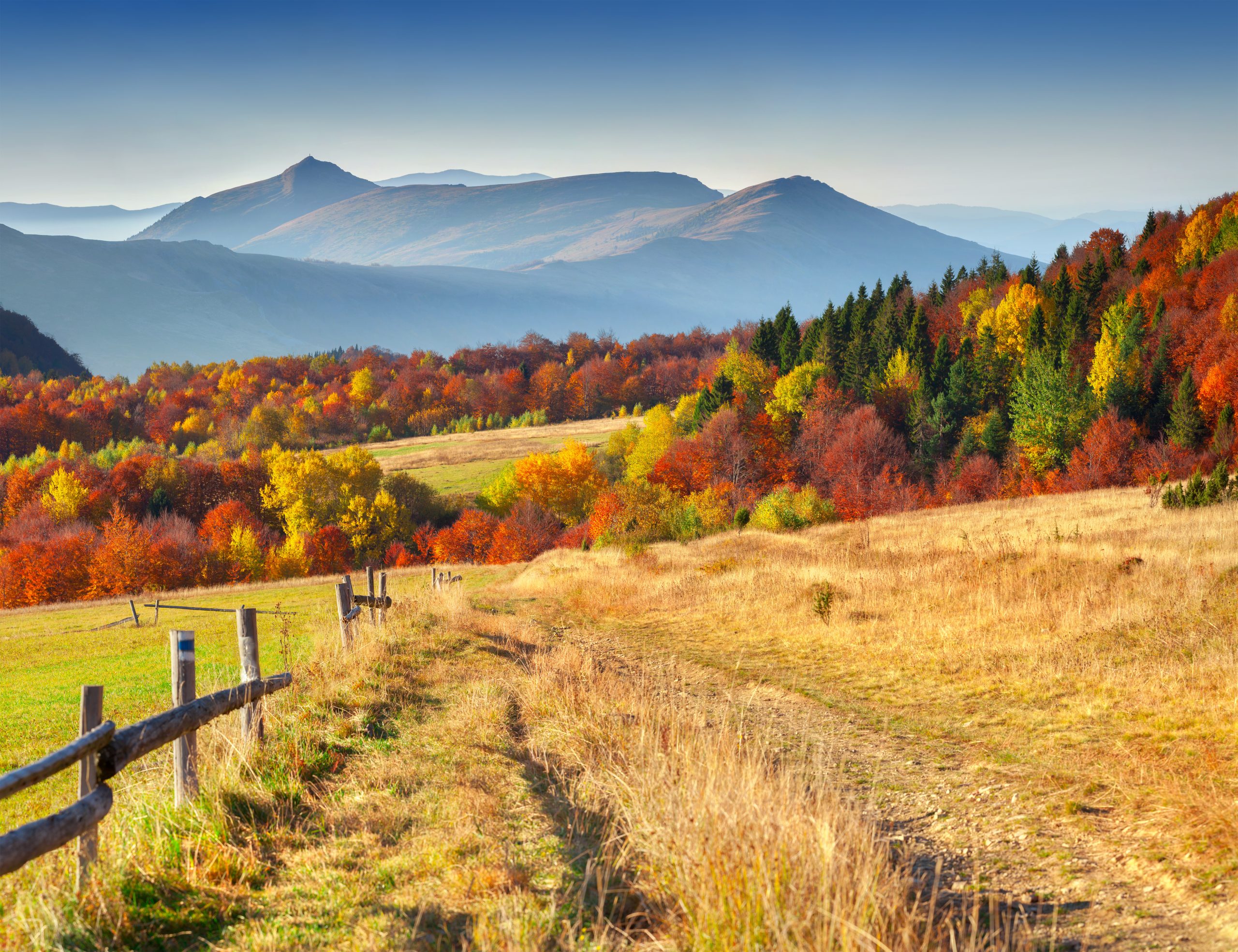 Vielfarbige Landschaft im Herbst 