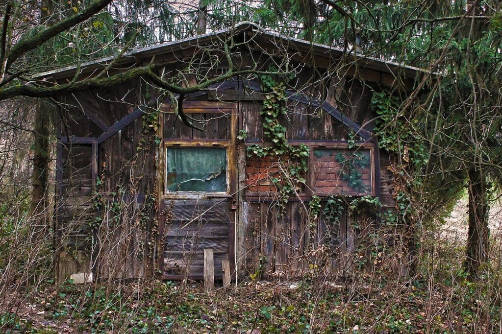 Stark vernachlässigte Holzhütte im Wald